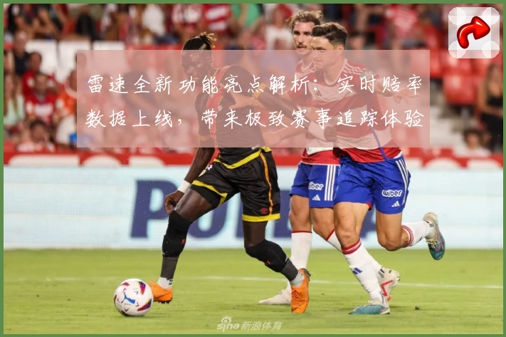 雷速全新功能亮点解析：实时赔率数据上线，带来极致赛事追踪体验