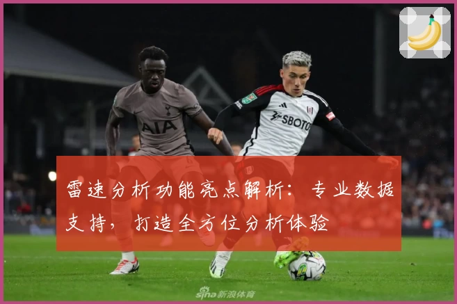 雷速分析功能亮点解析：专业数据支持，打造全方位分析体验