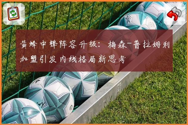 黄蜂中锋阵容升级：梅森-普拉姆利加盟引发内线格局新思考