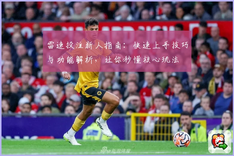 雷速投注新人指南：快速上手技巧与功能解析，让你秒懂核心玩法