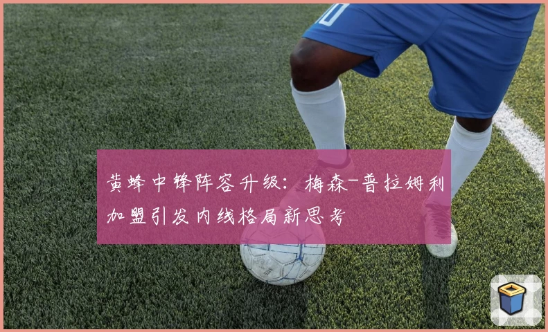 黄蜂中锋阵容升级：梅森-普拉姆利加盟引发内线格局新思考