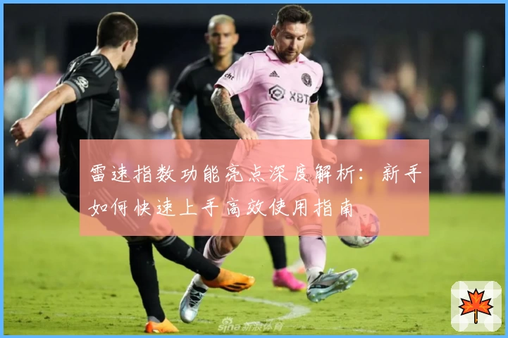 雷速指数功能亮点深度解析：新手如何快速上手高效使用指南